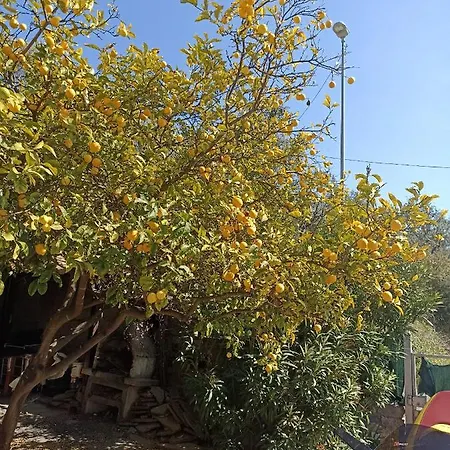 Πανσιόν Sant'Agata Home *
